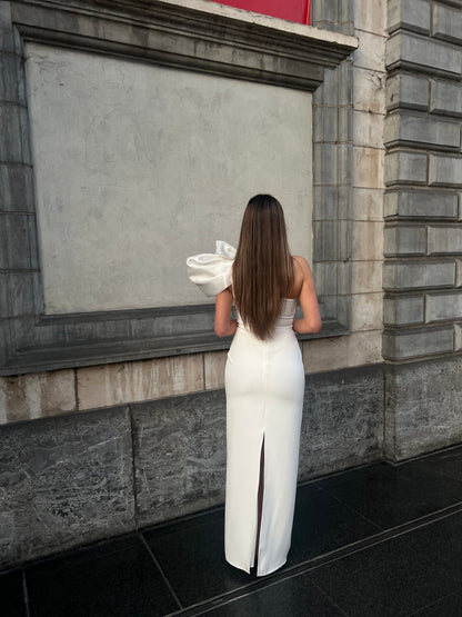The Celine dress