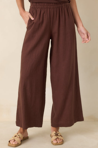 Z Supply Chocolate Brown Scout Linen Pants