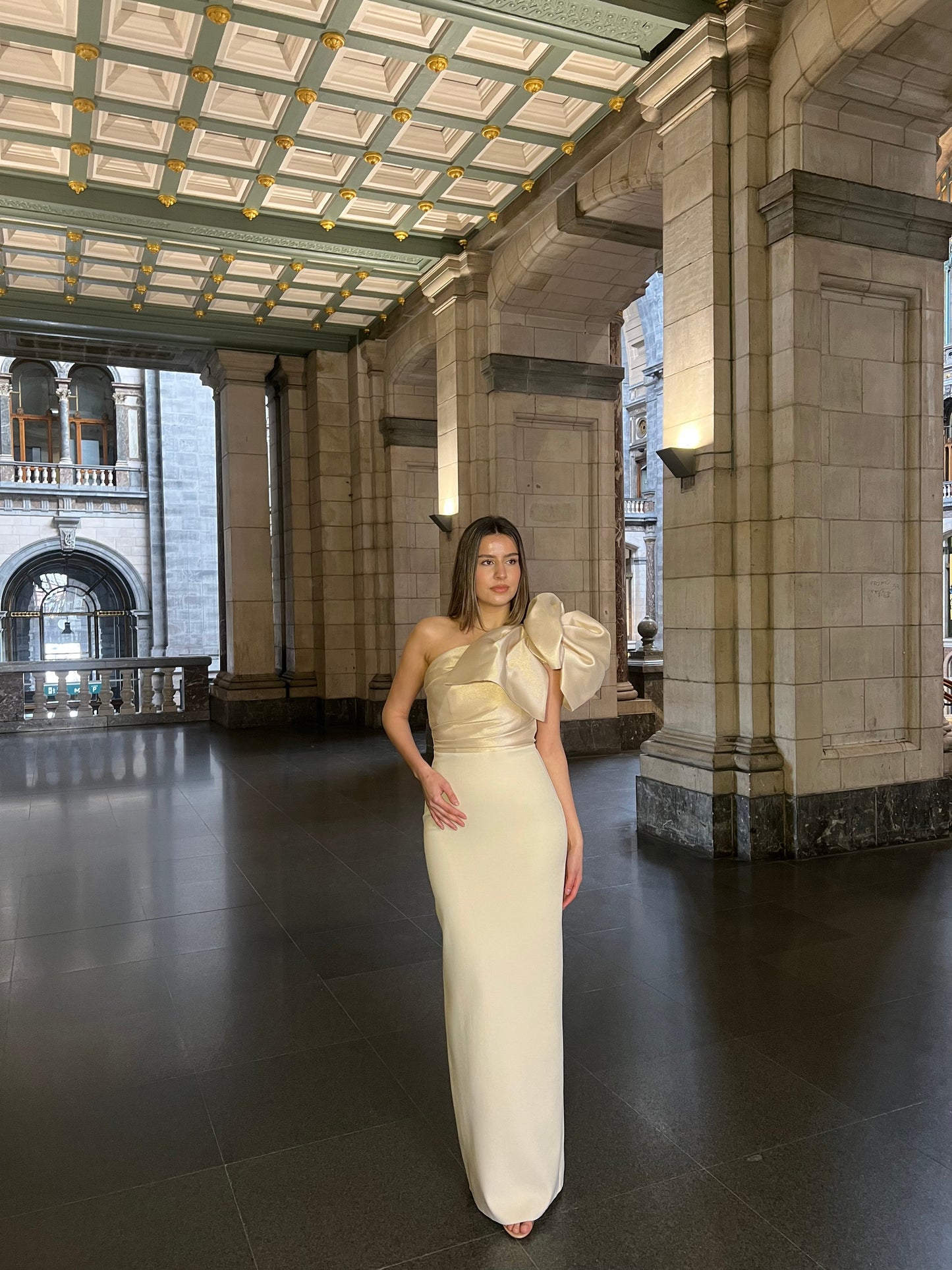 The Celine dress beige (gold)