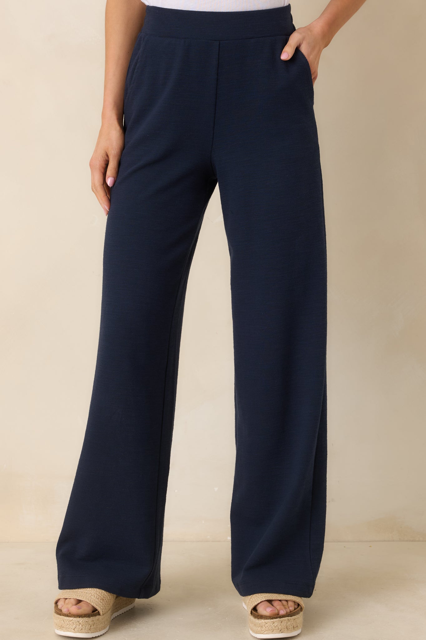 Z Supply Navy Blue Andre Wide Leg Pants