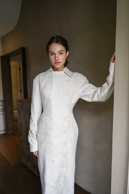 Blythe Trench Dress — Snakeskin