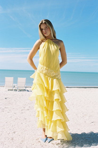 Dahlia Organza Dress