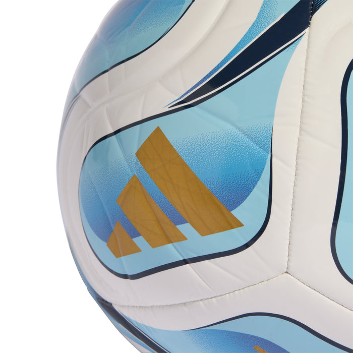 Soccer ball panel detail with gold A marking on blue and white