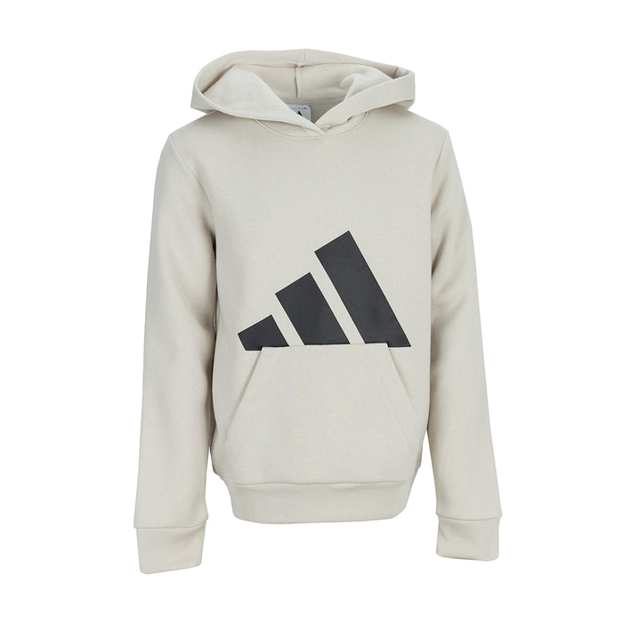 Youth fleece pullover hoodie in light alumina with large black logo on chest