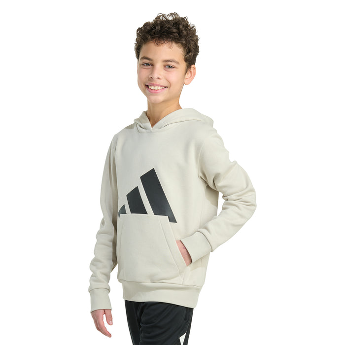 Youth pullover hoodie with hood and front pocket; large black logo on chest
