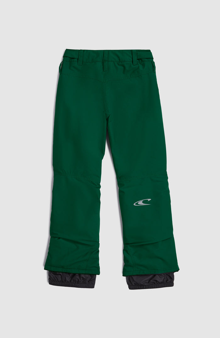 Kids Flex Snow Pants O'Neill