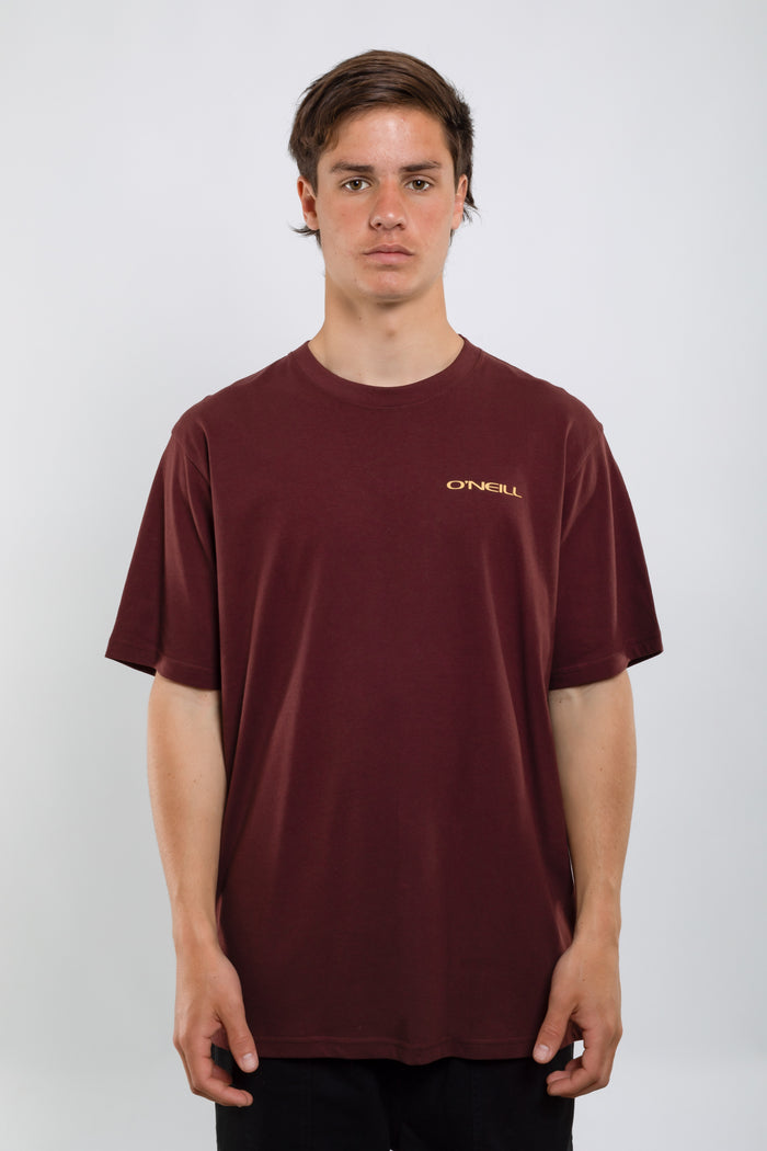 Remera Glassy Days O'Neill
