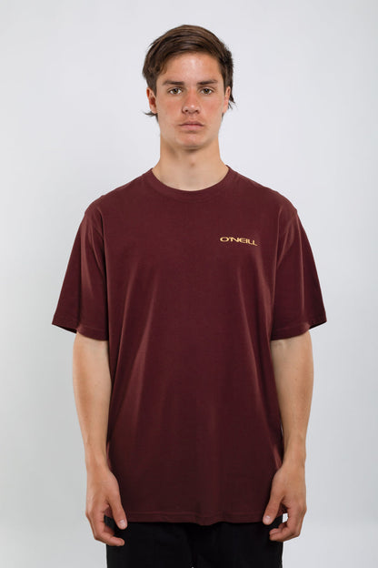 Remera Glassy Days O'Neill