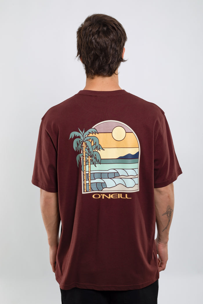 Remera Glassy Days O'Neill