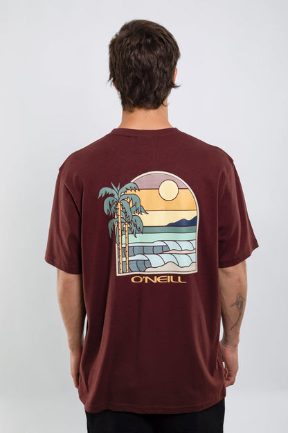 Remera Glassy Days O'Neill