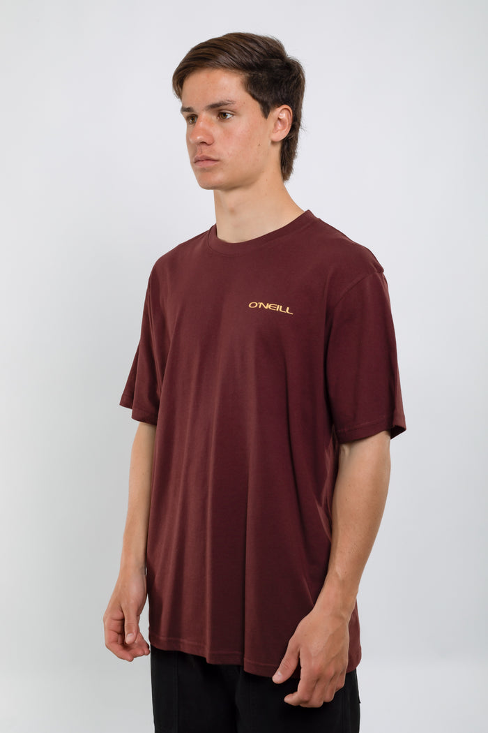 Remera Glassy Days O'Neill