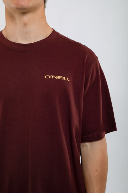 Remera Glassy Days O'Neill