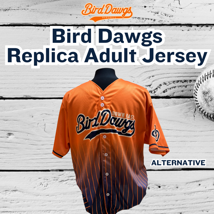 Replica Adult Jersey