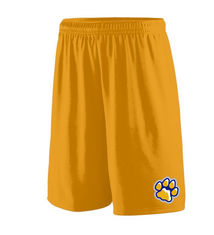 St. John Catholic Adult Mesh Shorts
